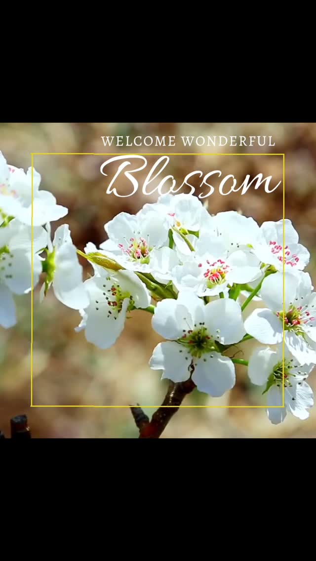 🌸 V R O E G E V O O R J A A R S V O O R D E E L 🌸 @ Mille Fleurs Apartments
Soon spring will come. We all feel like going out: walking shoes on, bike out of the shed. Perfect time to get to know the Voer-region in all its facets.
ENJOY A 10% DISCOUNT ON OUR UNIQUE APARTMENTS IN THE BELGIAN VOERS REGION IN MARCH AND APRIL
👉 For more information, visit www.millefleurs.be
Nog even en dan breekt de lente weer aan. We krijgen allemaal weer zin om er op uit te trekken, wandelschoenen aan, de fiets uit de schuur.
Perfecte tijd om de Voerstreek in al zijn facetten te verkennen.
GENIET IN MAART EN APRIL VAN 10% KORTING OP ONZE UNIEKE APPARTEMENTEN IN DE BELGISCHE VOERSTREEK
👉 Kijk voor meer info op www.millefleurs.be
#springpromo #springishere #whataview #beautifullandscape #naturelover #natuur #voeren #limburg #voerstreek #wandelen #hiking #millefleurs #appartementhuren #vakantiehuis #vacation #rent #apartment #rentapartment #vlaanderenvakantieland #ilovelimburg #vakantieineigenland #sintpietersvoeren #altijdlimburg #belgium #visitlimburg #wanderlust #bronnenwandeling #wandelparadijs