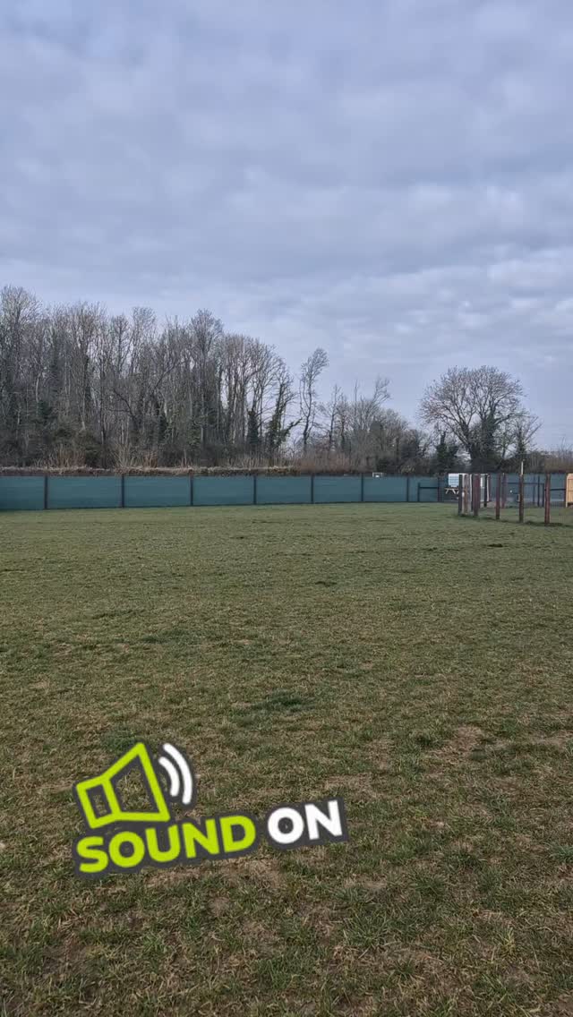 Peaceful morning in the paddock with the birds singing 🐦
9am seems to be the time where everyone has got to work and school and the world feels still just for a little while.
#bestinfieldewen #cirencester #dogtraining #securedogfield