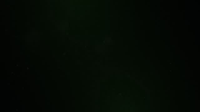 Alright, buckle up gaming fans , because this is HUGE!
Germany, bless their efficient lederhosen-clad hearts, just yeeted our newest gaming extravaganza across the Channel.
It's currently rolling towards Game Heads HQ as we type!
Now, we've got a solid month, maybe two, of wrestling with wires, coaxing pixels into submission, and generally trying not to set anything on fire while we cram this uber beast full of gaming goodness for you!
After we've finished our tech-wizard dance, we're unleashing this magnificent machine upon the world! This is going to be our biggest bestest gaming vehicle yet ,offering you even more consoles , more seating , more screens , more fun, more well more everything!
It's joining our legendary fleet of gaming vans 'FUN' and 'WOW' which, let's be honest, are basically mobile party unicorns.
Get ready, because the level of 'awesome' is about to get a serious upgrade!
Book The Best