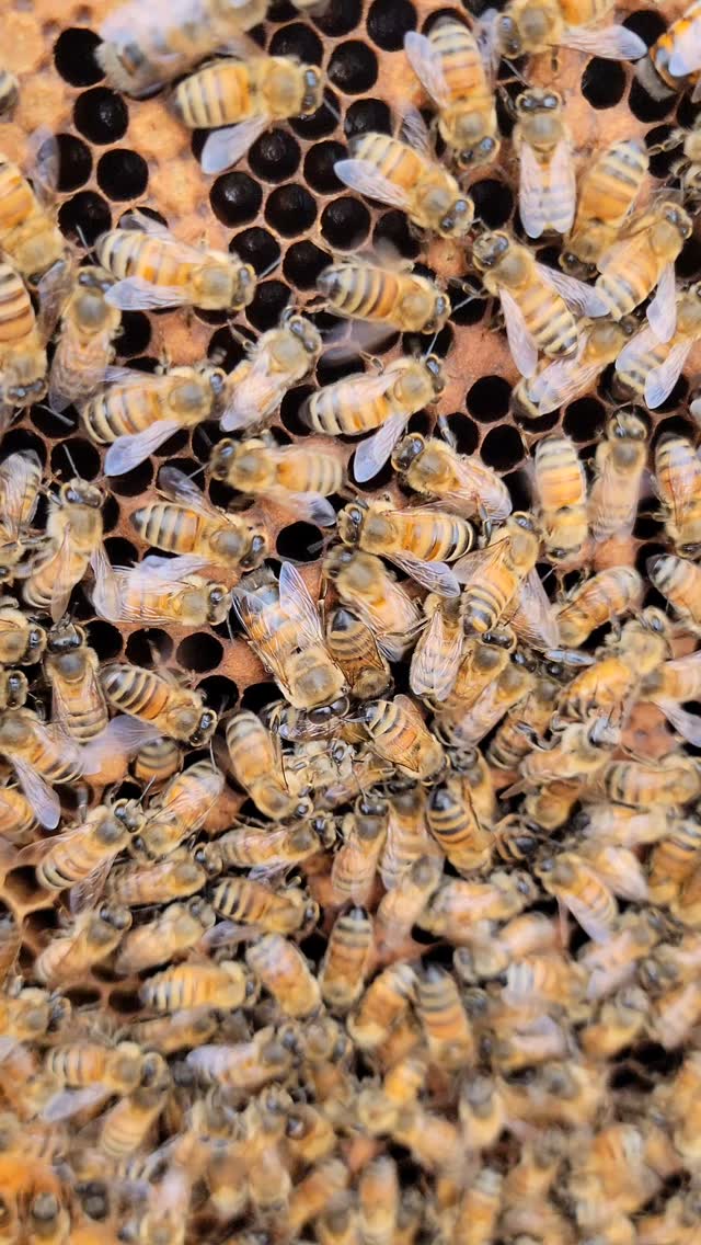 Accidently caused some early drone production! Want to know how?