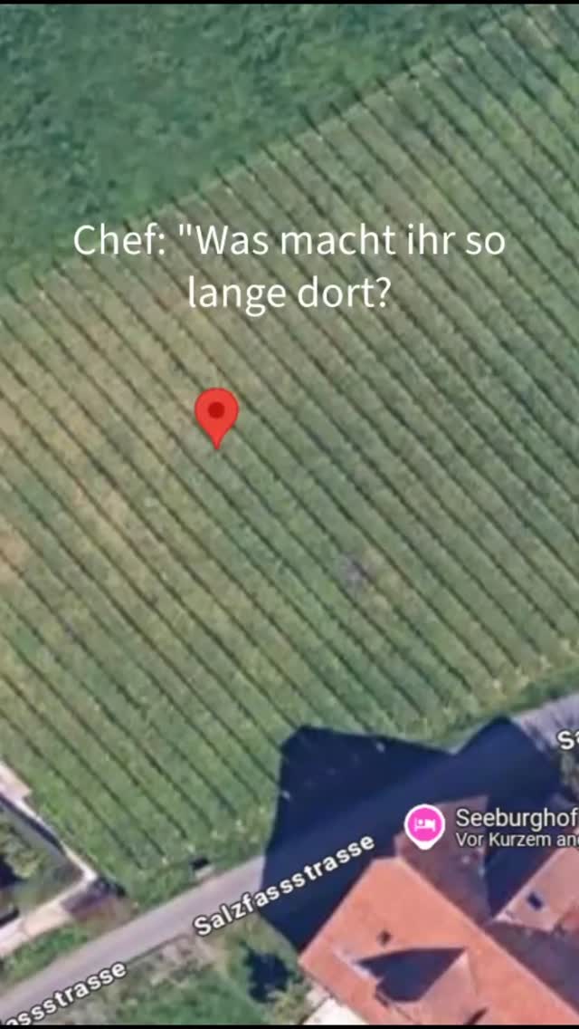 Die Vorfreude auf die bevorstehende Weinsaison wächst enorm 🤩
Beim Durchstöbern der Galerie, sind uns einige witzige Aufnahmen aus dem vergangenen Jahr in die Finger gekommen 🤭 Den Humor verlieren wir nie bei unserem Schaffen, es ist wichtig auch im Dschungel der Rebblätter sein Lachen nicht zu verlieren 😊
.
.
.
#seeburghof #weinbau #weinzentralschweiz #lebenaufdemland #hofleben #natur #humor #landwirtschaft #myfarmmoments