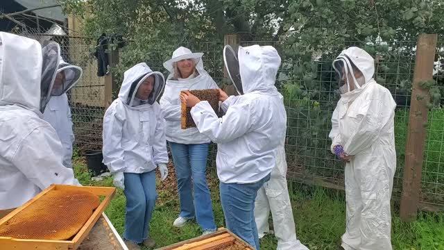 Bee Workshops are back !!
Saturdays, 10:30-1pm
Link in profile