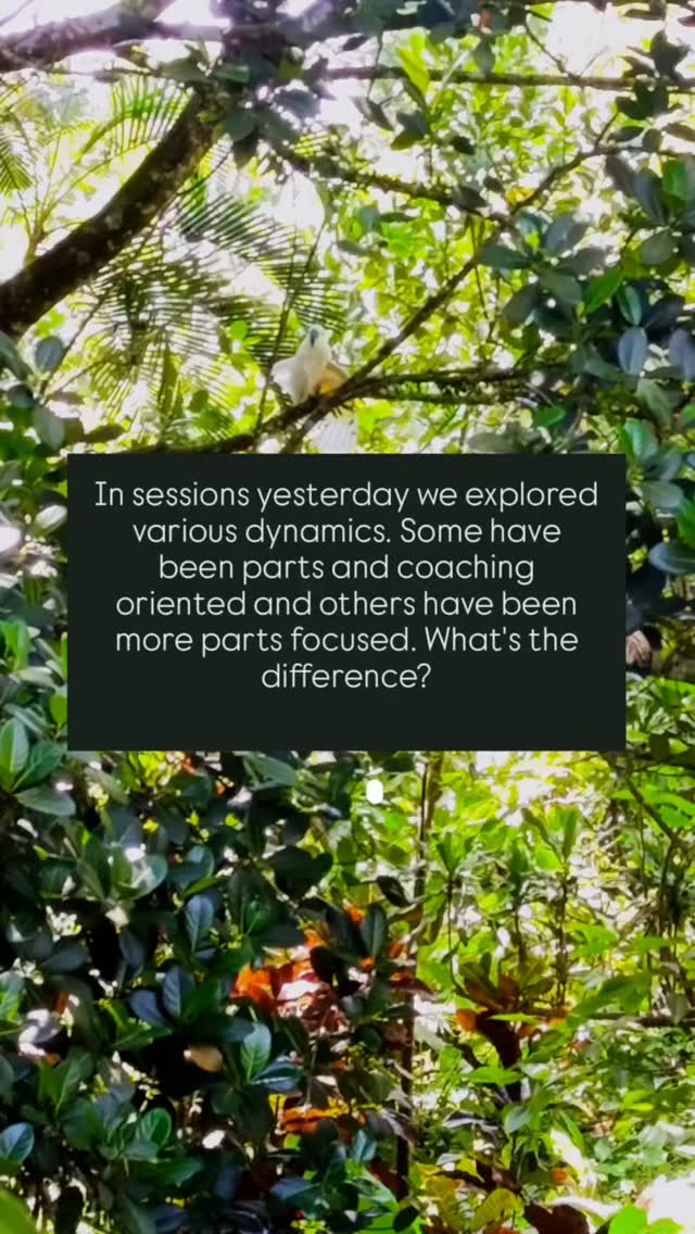 Ever wondered what happens in 1:1 sessions?
Here 🌞
In sessions yesterday we explored various dynamics. Some have been parts and coaching oriented and others have been more parts focused. What's the difference?
1)Parts and coaching
In the first one we flesh out inner parts/aspects of the person, how they show up somatically in the body, what is their intentions, how they interact with the systems and which parts are triggered by them or feel supportive of them...we create a map of action and reaction of this parts, getting to know more what's the internal dance in this specific system.
Then we also move into communication matters and more direct and imminent practical challenges (the coaching aspect)...exploring and suggesting homework and new actionable steps to get closer to the desired outcome (without forgetting to tend to those parts that get activated in the interactions).
2)Pure IFS - Internal Family Systems / parts work
In the second one, we start with a target part and keep meeting other protective parts, ask them to move on the side or stay curious with us while we spend time with our target part.
We have a deeper dive in the role and story of this part and we get to know its fears, its needs and desires.
Oftentimes we get access to the one that is underneath...a very vulnerable one...that one gets to tell us its story, what hurt or pain or burden they've been carrying for all these years, they get to be witnessed and received by the Self of the client and my Self energy as well.
There, it is possible to follow through with the "unburdening" process which will happen only if the time is right (and yesterday in one session it was) without forcing or pushing. It's such a beautiful heartwarming process that brings in lightness and hope and that organically dissolves blockages that were once there, transforming them into other possibilities.
By the end we check with protectors that have been keeping a role and see if they desire to do something different now that they don't have to protect in that very same way anymore.
Gentle, thorough, deep, healing process.
Client's check-ins and follow up with those parts is essential in-between sessions.