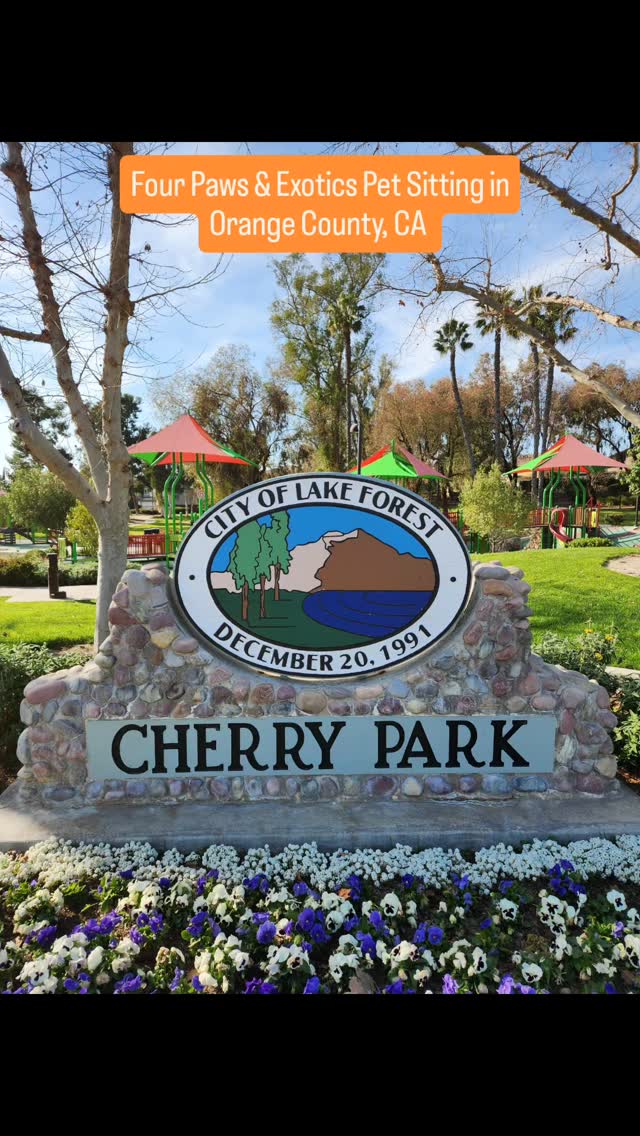 FOUR PAWS & EXOTICS PARK SERIES
Check out Cherry Park in Lake Forest, CA. This large park has tons of trees and grass for you and your dog to walk around. There's also a nearby walking trail you can go to. Street parking is available and free.
Don't have time to take your dog to Cherry Park? Consider a dog walker like me. I offer 30-minute and 60-minute private dog walks. For more information about my dog walking services, visit www.fourpawsandexotics.com.
#petsitting #ocdogwalker #lakeforest #ocpetsitter #ocparks