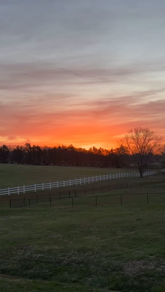 A beautiful morning sunrise.