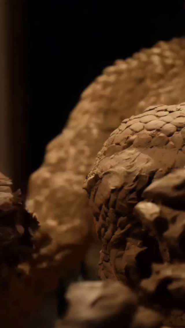 Texture Thimbles preorder offer ends in two days!!! after that, the price goes up 20%!!!
Don’t miss your chance to get them at the release discount price!
Available at txtoolz.com (link in bio)
Get ‘em now!