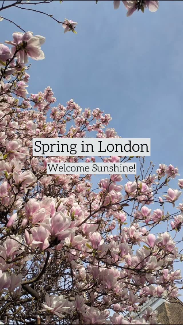 We had a stunning start to spring this week! Running between meetings has been a total pleasure.
Has spring sprung where you are?