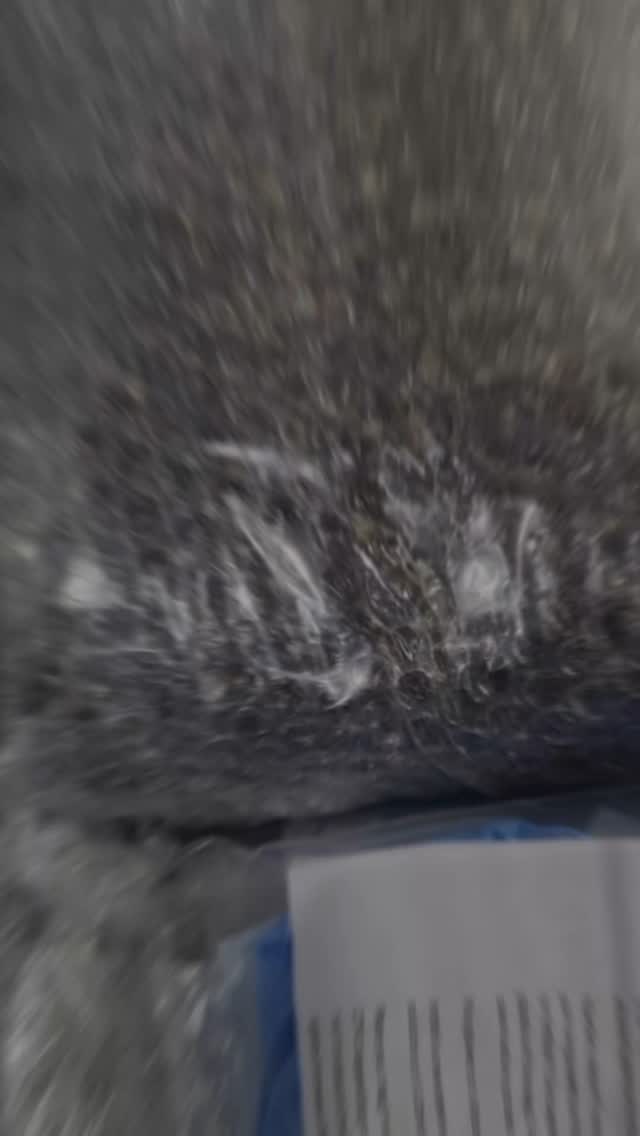 Monotub v2. Free substrate. Free sterile grain. Free UK shipping. Gloves, iso, mask, instructions, the lot. Fungurufarm.com
#mushrooms #mushroomcultivation #mushlove #mushroomsubstrate