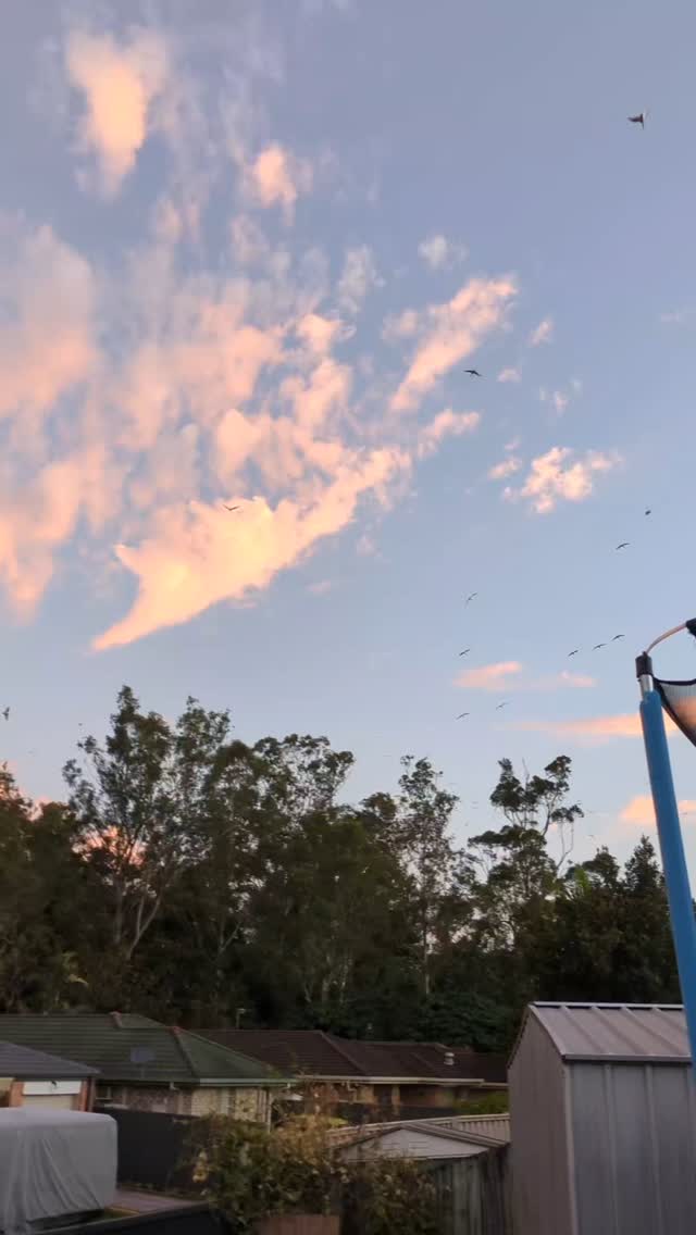 Over the last decade of running a small business, we have realised that the hardest element is that when life gets in the way, there's no one to pick up the slack.
No one to cover sick days, or when the workload is too much. No one to cover when you have car trouble, Or when you have to leave work to take your toddler to the hospital after they shoved a small object in their ear (a fresh experience from yesterday 😩) .
When there are just two of you wearing all the hats, sometimes it can all become too much, and you can trip and fall.
We are human and as a business, we try to keep it raw and honest. Sometimes everything falls into place, and sometimes we battle depression, stress and an ADHD diagnosis.
But that is the ebb and flow of life. We ride the wave the universe sends our way, and we try our best to make our past selves proud.
If you are going through a hard time or life feels a little too heavy some days, know that you are not alone. The human experience is a hard one, but also a great one. ❤️
#knotsandgrains #smallbusiness #life #depression #reallife #youarenotalone #supportsmall #raw #reality #goldcoast #adhd #goldcoastbusiness