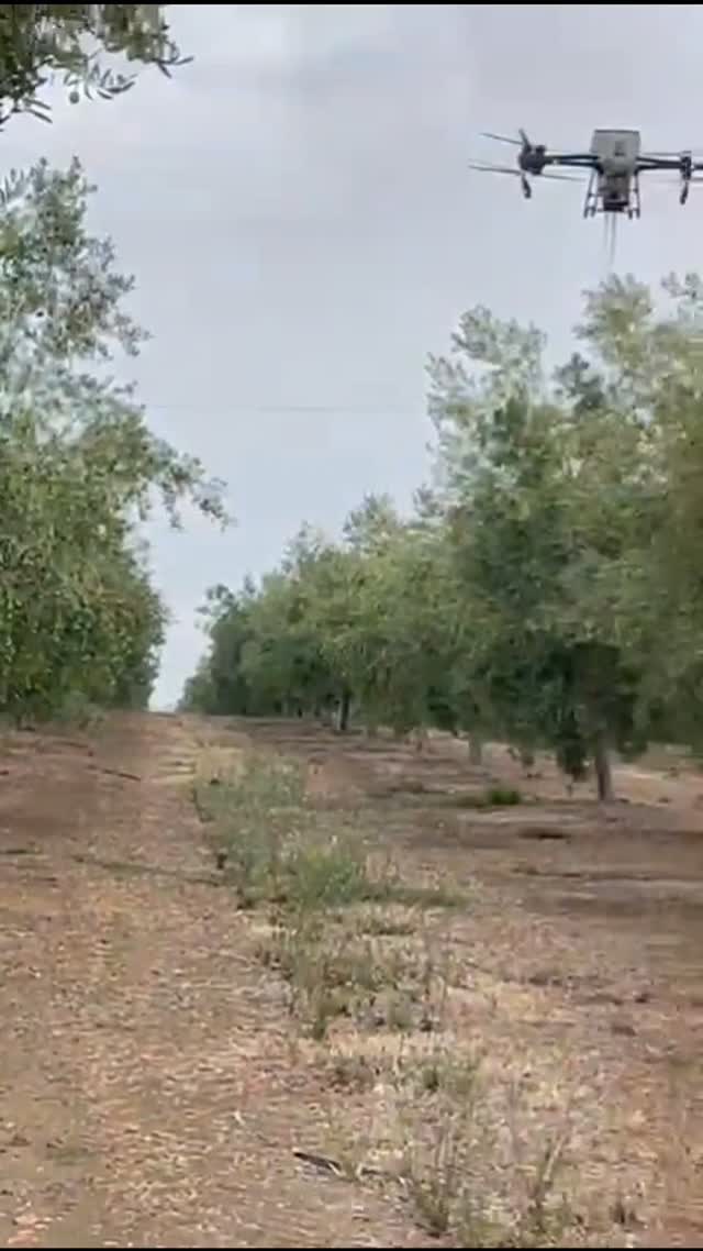 🌿🚁 ¡Así trabajamos en el campo! 💪 Nuestro dron aplica abono granulado en olivos de forma rápida, precisa y sin desperdicios. 🌾✨
La tecnología está revolucionando la agricultura, ¿te animas a probare el servicio? 🔥 Escríbenos y te contamos más. 📩
#DronesEnElAgro #FertilizaciónPrecisa #AgroInnovación #OlivosSostenibles