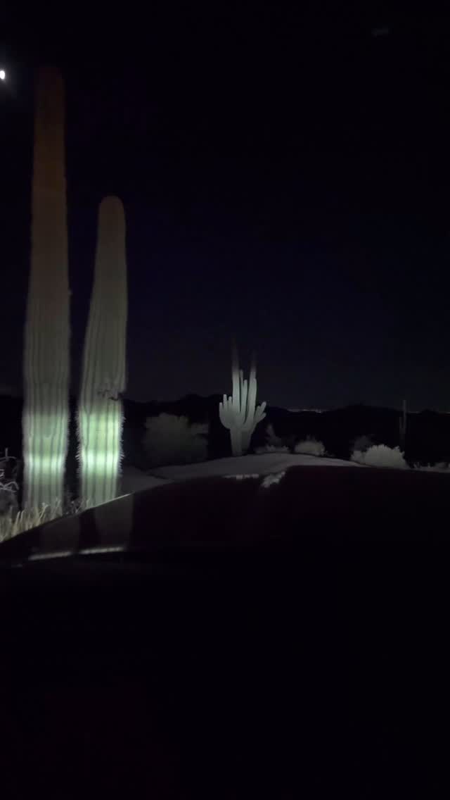 Behind the scenes with @nissanusa and their PRO-4X lineup!
We had the pleasure to cook for an epic group of professionals testing the capabilities of the new Armada and Frontier trucks… these things rock!
Kept the menu classy yet fun.. flat iron torta’s with our trailside cilantro and ginger chimichurri, as well as the @beardfoundation award winning Sonoran hot dog.. an AZ staple befitting the route!
Reach out to learn how we can bring private chef services to cater your next overland event!