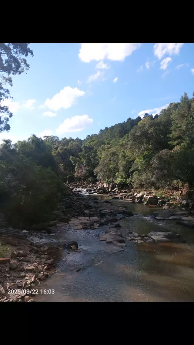 #puromeldeabelha #mel #natureza