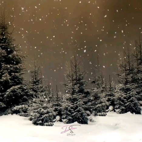 🎄SANTO NATALE🎄
La fiducia ricevuta da voi sposi, l'emozioni che mi avete regalato, la stima, il rispetto e la vostra gratitudine hanno reso il 2023 un anno molto prezioso.💎
Mi avete dato e insegnato tanto e di questo ne farò tesoro.
Grazie a voi tutti di ❤️
BUONE FESTE
@daniela_salicandro_wpdesign
#buonnatale #buonefeste #marrychristmas
#weddingplanner #salento #nataleinfamiglia #santonatale #danielasalicandro