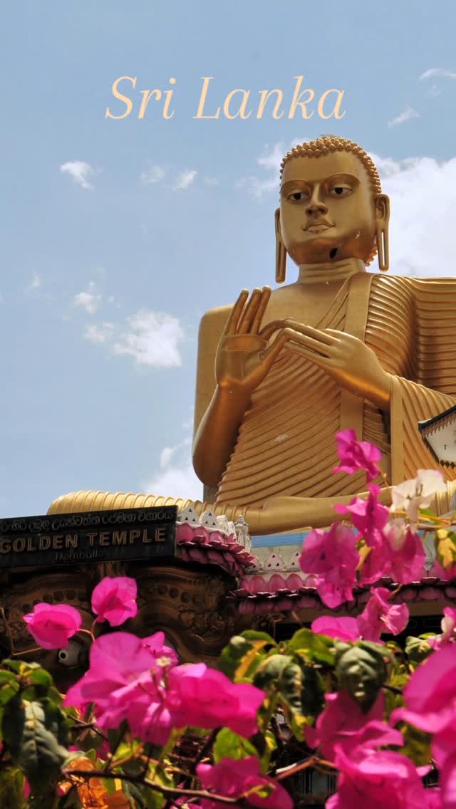 🌴✈️ 𝐏𝐚𝐫𝐬 𝐚̀ 𝐥𝐚 𝐝𝐞́𝐜𝐨𝐮𝐯𝐞𝐫𝐭𝐞 𝐝𝐮 𝐒𝐫𝐢 𝐋𝐚𝐧𝐤𝐚 𝐚𝐯𝐞𝐜 𝐑𝐨𝐦𝐨𝐧𝐭𝐨𝐮𝐫𝐬 !🇱🇰✨
Envie d’évasion entre plages paradisiaques, nature luxuriante et culture fascinante ? Le Sri Lanka t’attend ! 🏝️🐘🌿
🌅 Promène-toi dans les plantations de thé verdoyantes
🏛️ Explore des temples bouddhistes millénaires
🐢 Détends-toi sur des plages de sable doré
🍛 Régale-toi avec une cuisine exotique et épicée
Laisse Romontours organiser ton voyage sur mesure et vis une expérience inoubliable ! 🌍💙
📍 Viens nous voir à Romont
📩 Contacte-nous dès maintenant et prépare ton prochain voyage !
#Romontours #VoyageSriLanka #Évasion #Aventure #SuisseVoyage #romontregion #fribourgregion