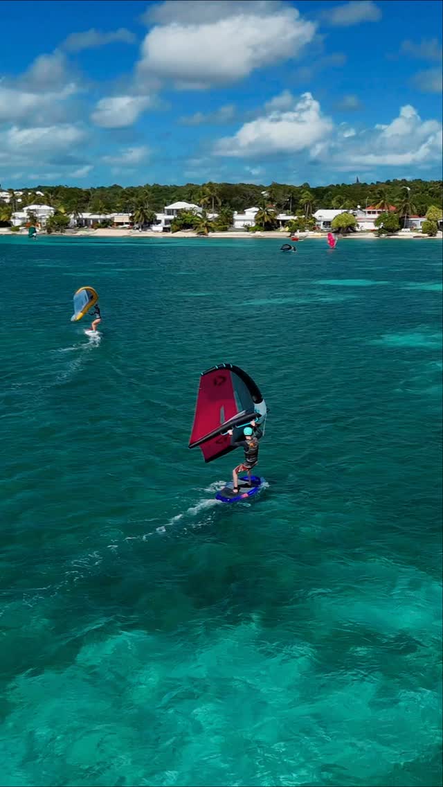 Le lagon de Saint-Francois en Guadeloupe offre des conditions idyllique pour vous faire vivre l'expérience et l'apprentissage du WINGFOIL avec la @wingfoilschoolguadeloupe
Que vous soyez en vacances ou en quêtes d'une nouvelle aventure sportive, que vous veniez du surf, du kite, de la planche à voile, du SUP, ou encore que la wing représente votre première expérience sur l'eau.. la wing c'est du plaisir garantie ! Des sensations inédites ! Et encore plus de moment à partager entre amis !
Rejoins la communauté wingfoil en débutant dès demain avec notre école - www.wingfoilschoolguadeloupe.com
Contacte nous en DM sur Insta ⬇️ ou sur WhatsApp au +590 690 985 349
#wingfoil #guadeloupe #wingfoilschoolguadeloupe #wingfoiling #gwada #caribbean #antilles #foiling #duotone #lagoon #islandlife #islandvibes #kitesurf #kitesurfing #surfing #surfinglife