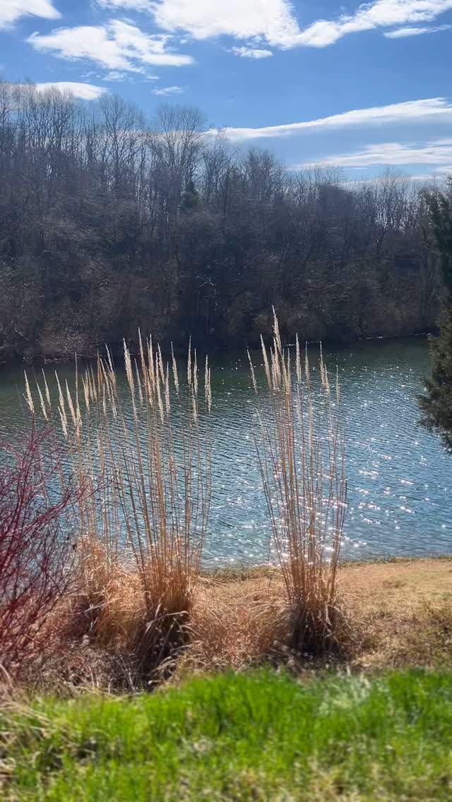 And finally there’s a warm sunny day ☀️