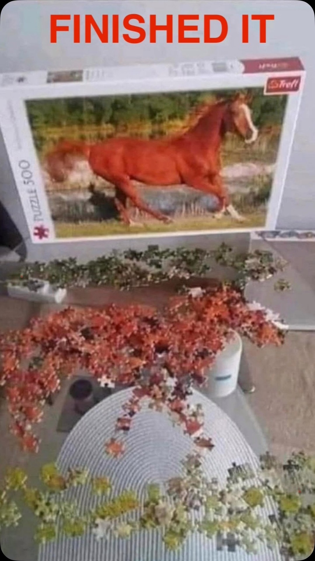 Love a good jigsaw me like!
#funny #puzzle #jigsaw #horse #reels