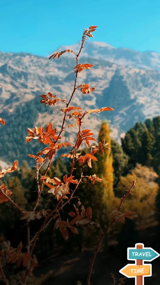 🏕️ "Disconnect to reconnect 🌿 Immerse yourself in nature at Imilia Camps." #NatureRetreat #escapethecity #adventure #paragliding #incredibleindia #epic_captures #waterfalls #campingvibes #waterfalls #trekkinglovers #explore #wanderers #virałpost #himalayas #vacations #sunrise #sunset #instagram #instadaily