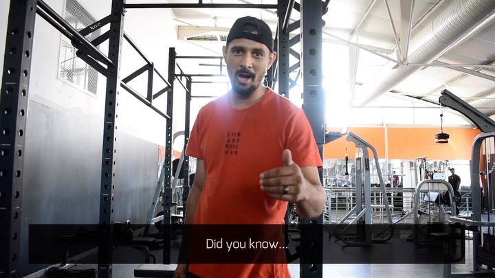 The calf raise, the benefits thereof, explained by Dann-Jacques Mouton ๐๐ฝโโ๏ธ
โข
โข
โข
#fitness #weights #workout #training #sport #empowerment #capetownfit #capetowngym #gymcapetown #bodyfuturegym