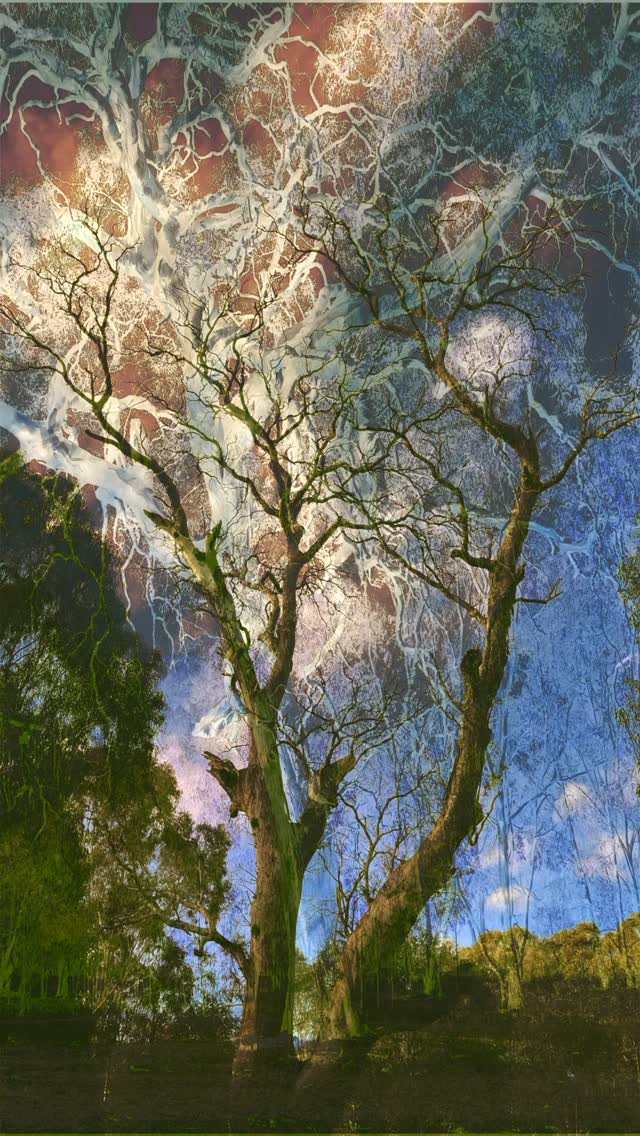 Constant process
#stillness #deeplistening #deepwatching