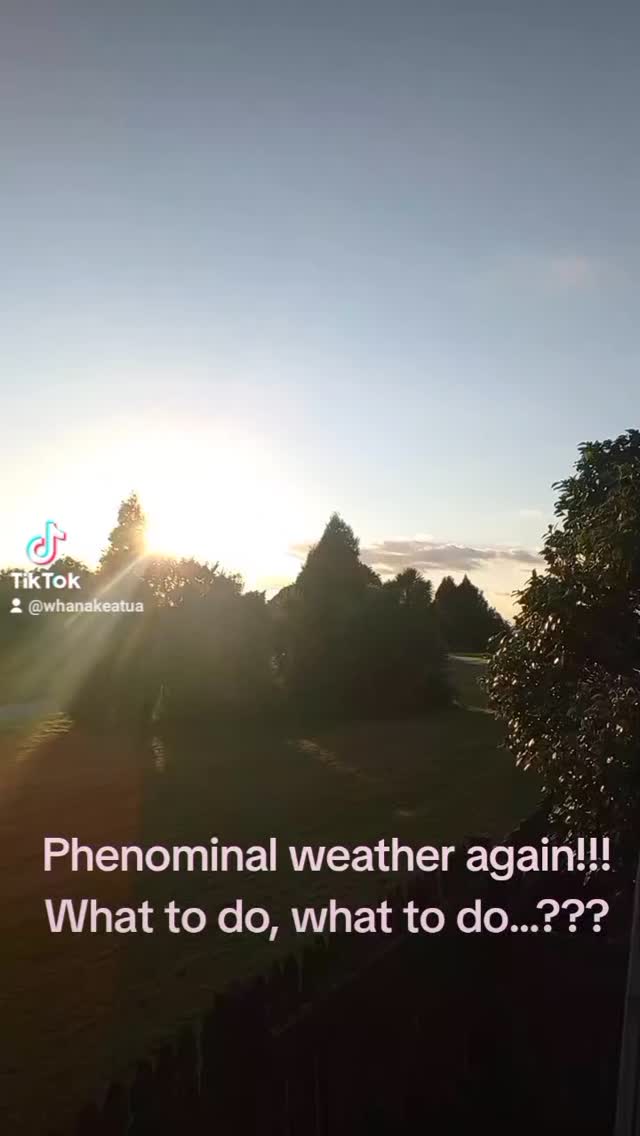 What to do on a beautiful day like this..
My feet are craving water, and Hinemoana is calling. The beach is a 5min walk away...so why not 😁
#whanakeatua #energyshift #frequency #perspective #heal #itsthesmallthings