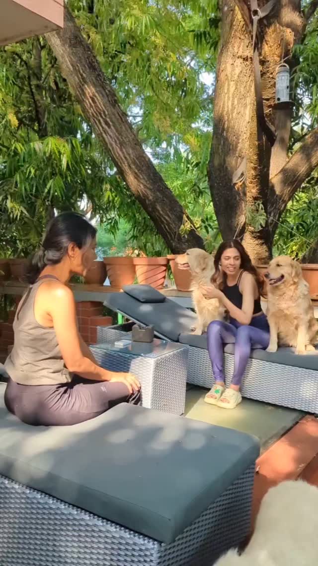 A dream unfolding at The Jungle in MiCasa93! 🌳🐾
Our nine adorable Retrievers and Shih Tzus have always been the heart of MiCasa93, the terrace #retreat is truly coming into its own. It's steadily becoming a favorite hangout for all the #furbabies🐾 and #hoomans
I’m loving the journey of nurturing this space, where every moment under the sprawling tree canopy feels like pure magic.
#OrganicGrowth #TerraceGardenLove #MiCasaMemories #livemore #livemoremagic #live #work #play #connect #create #grow #residency