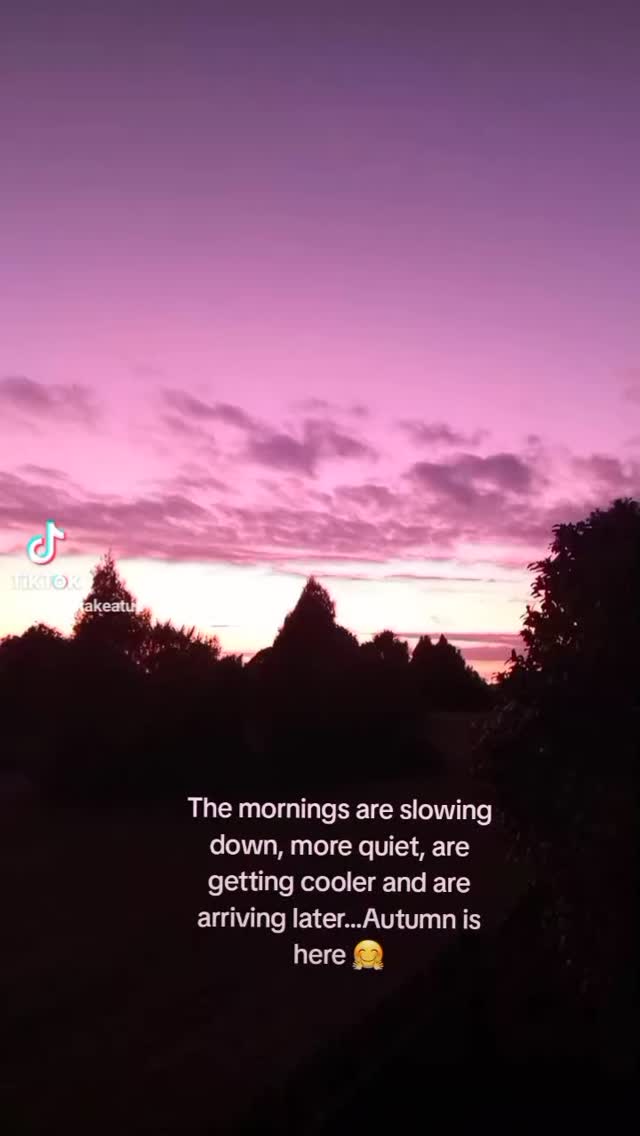 Aotearoa mornings...
Somewhere on the other side of the world its Spring, here we are headed into Autumn and Winter. Such a change from the hustle and bustle of Summer. It's nearly time to rest, reflect and reset...
#whanakeatua #perspective # itsthesmallthings # heal #frequency #energyshift