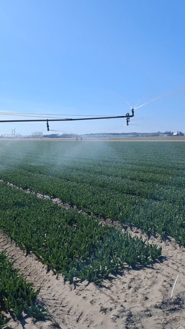 Beregenseizoen is weer begonnen!🤩🌷