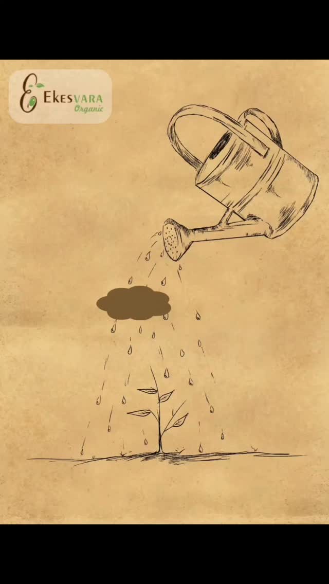 Write, Grow, and Give Back to Nature! ✏️🌱
Switch to Seed Paper Pencils—a smart, eco-friendly choice! Once you're done using them, just plant the stub, and watch it grow into a beautiful plant. Say NO to plastic waste and YES to sustainability! ♻️🌍
Make a small change for a greener tomorrow. Order now! 📩
📞 Contact: 8800180364 ( for bulk order )
🌐 Visit: www.ekesvara.in ( for retail order )
#seedpencil #EcoFriendly #sustainableliving #gogreen💚 #plantyourpencil #schoollife #education