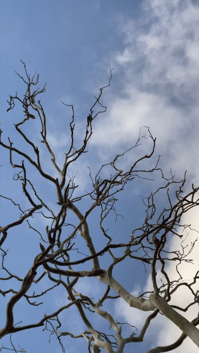 #stillness #deeplistening