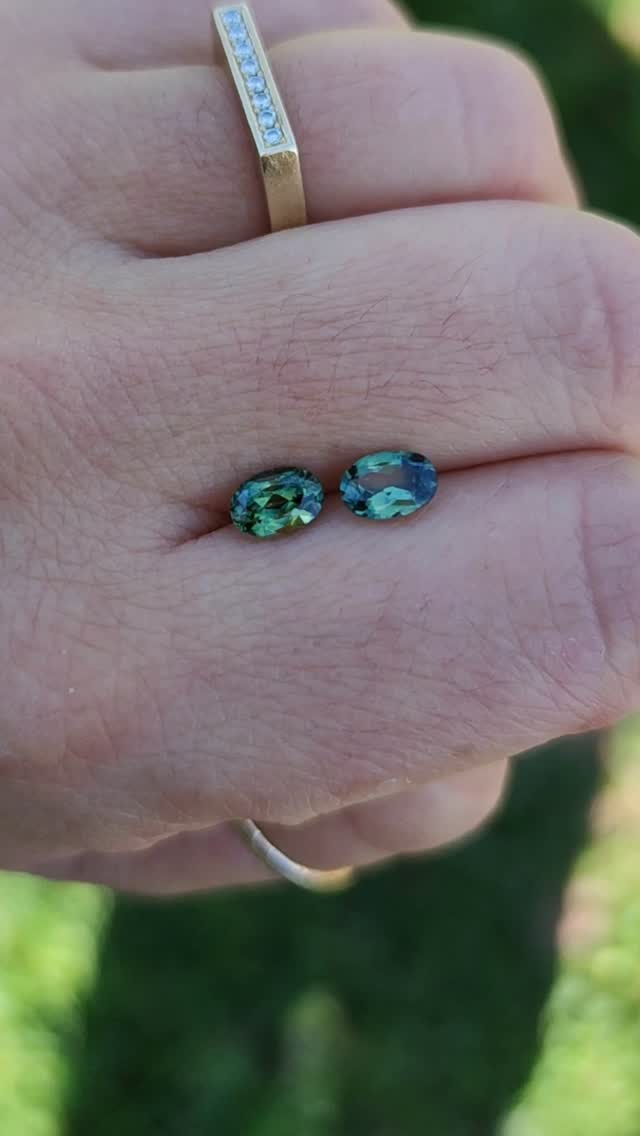 Which one would you choose?