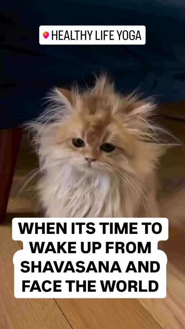 We all know this feeling đđ #HealthyLifeYoga #selfreflection #yoga #healthylife #yogapractice #youryogapractice #yourjourney #youryogapractice