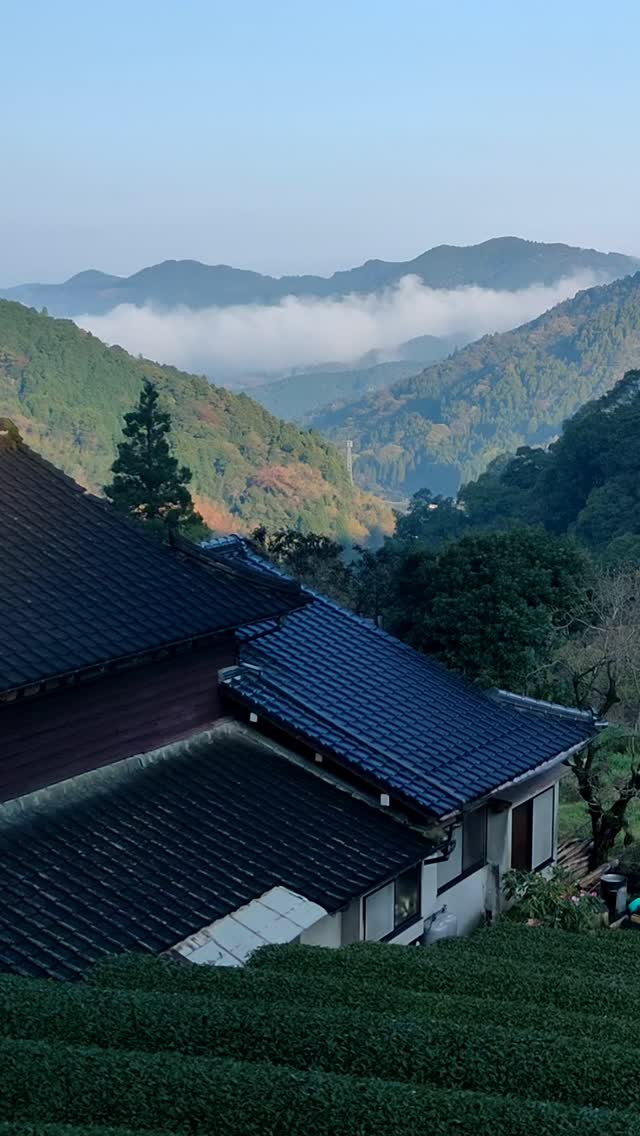 FriYaY!
#skyteahouse
#japan
#yame
#fukuoka
#kyushu
#countryside
#countrysidelife
#japancountryside
#discoverjapan
#japantourism
#mountain
#mountainview
#farmhouse