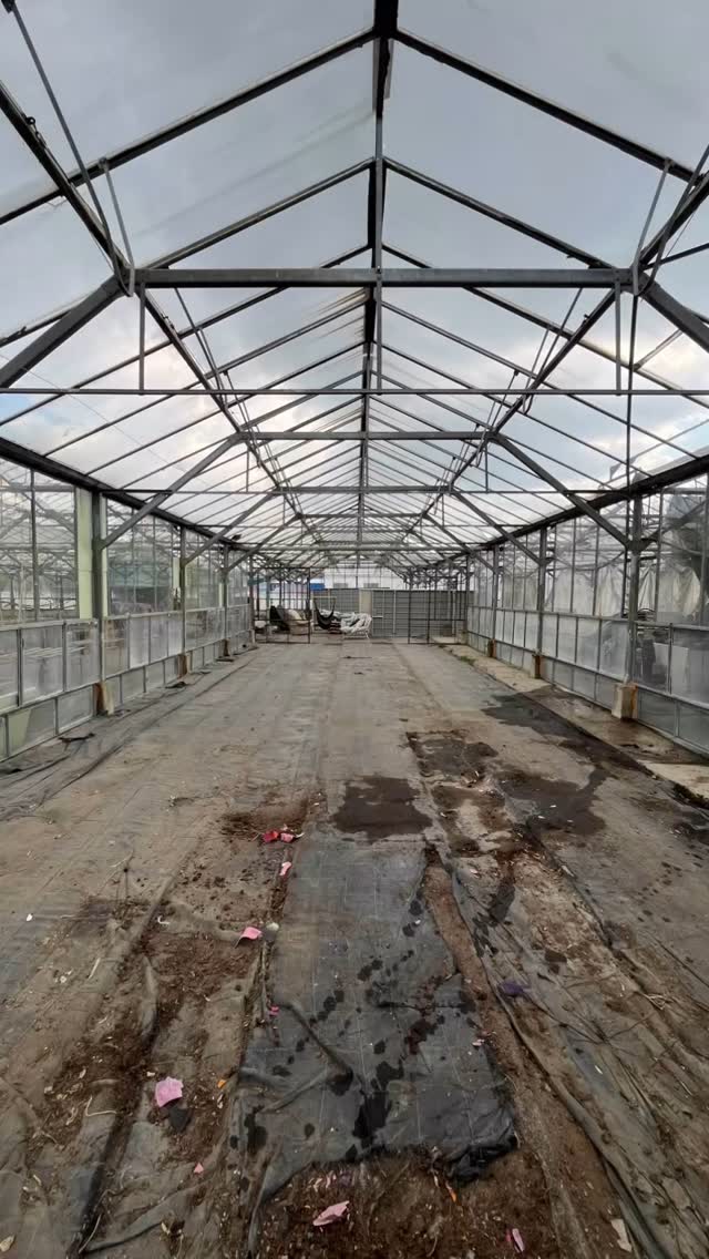 Z chaosu do poriadku, z neporiadku do zelenej oázy. Za týždeň sa skleník premenil na funkčný priestor plný života – stoly sú už plné paradajkových a zeleninových priesad. Všetko má svoje miesto a konečne to dáva zmysel.
Makalo sa, nadávalo, ale stálo to za ta. Radosť pozerať!
#sklenik #priesady #paradajky #premena #zahradnickazima #urbanjungle