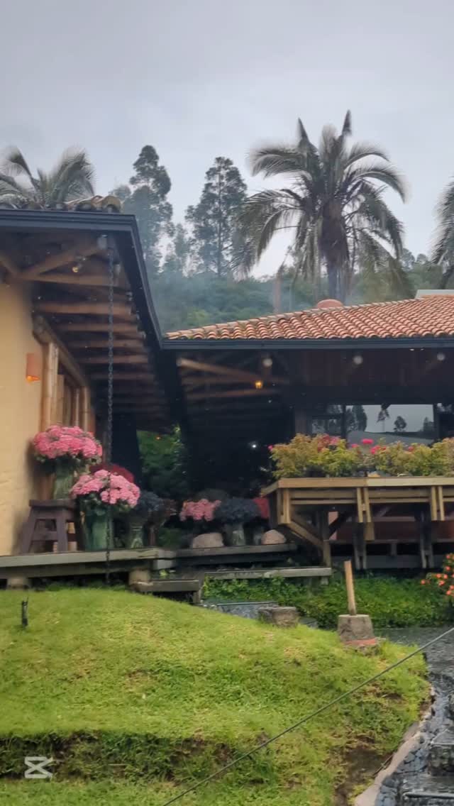 "Each new variety developed is the result of many years of work seeking to satisfy the needs of a demanding market, considering that the cultivated product is perishable, an agricultural product involving many variables and difficult-to-control conditions.
The Ecuadorian rose purchased today in Warsaw, for example, has had more than 8 years of research and development, years of tests and cultivation development, days of travel to become part of a beautiful arrangement created by a floral artist. Imagine all the human capital behind a rose." - Innovation and Color: The New Varieties Transforming Ecuadorian Floriculture -
If you want to read the whole story about your open houses go to our website: theflowersofecuador.com
#theflowersofecuadortheflowersofecuador #ecuadorysusflores #ecuador #thebestroses #breeding