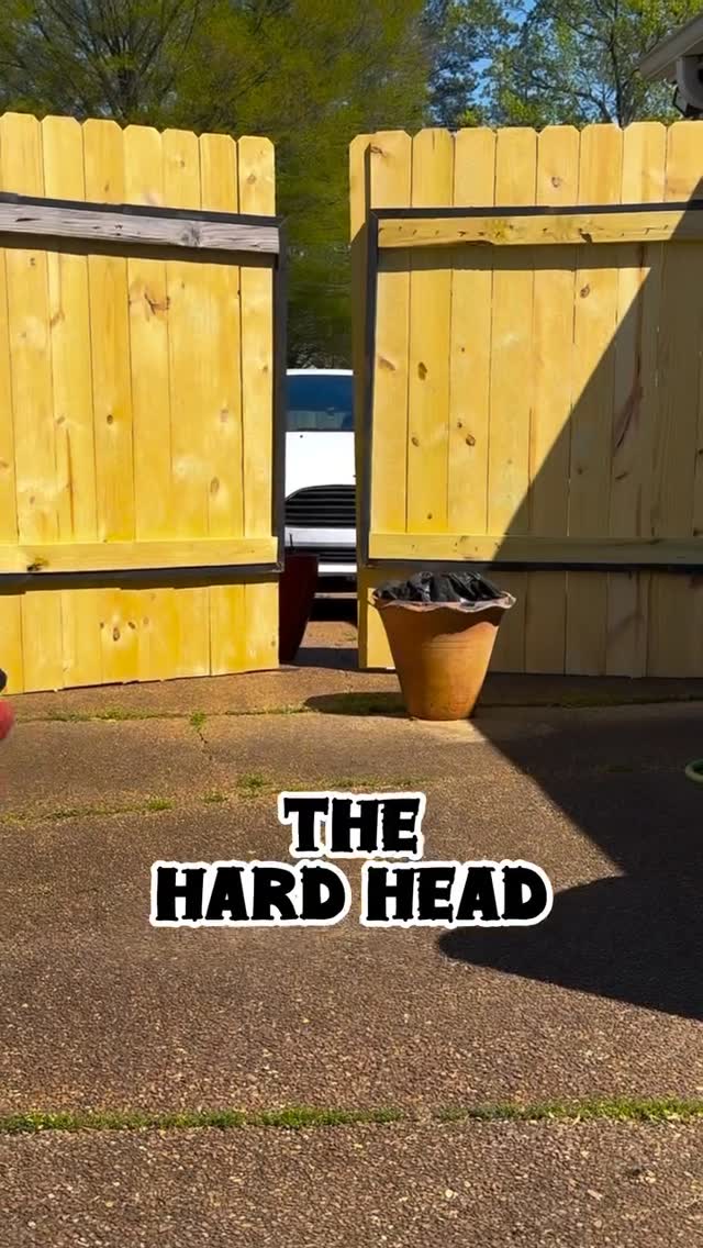 Wow! They still doing the #HardHead & #SwagWalk nearly 15 years later. Some would say that’s #Legendary #Culture
#2CentGotThatWangMane #Memphis #DanceChallenge