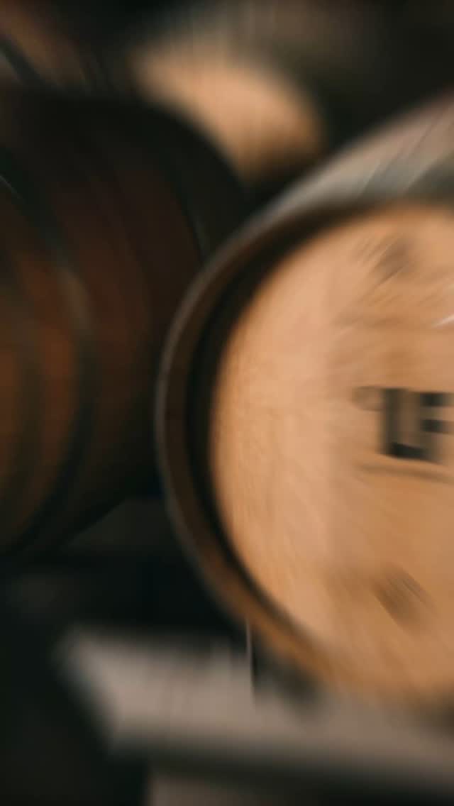 Wein, Sonne und spanische Gastfreundschaft!🌞🍷
Bei einer kleinen aber feinen Führung durch ein kleines Weingut in der wunderschönen Terra Alta konnten wir nicht nur die Geheimnisse des Weinanbaus entdecken, sondern auch edle Tropfe verkosten - und das ganze sogar auf Deutsch!
Ein echtes Highlight für alle Weinliebhaber und Spanien Fans. 🇪🇸
#costadorada #mittelmeer #cambrils #miamiplatja #spanien #meerliebe #weinprobe #weinverkostung #winzer #bodega #terraalta #genussreise #genießen #localtrip #spain🇪🇸 #spain❤️ #ausflüge #entdecken #erleben #weinliebe #weinreise