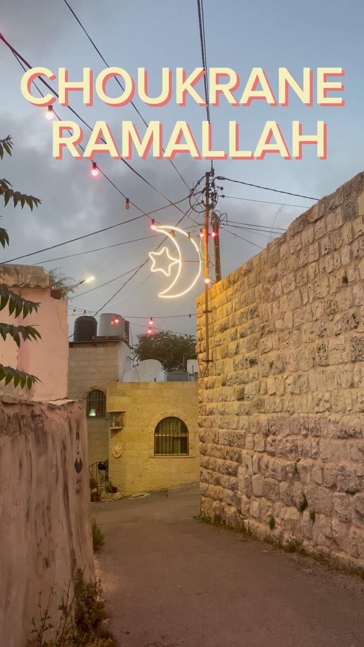 Nous avons eu l’honneur de danser pour l’ouverture du Ramallah contemporary festival. C’était magnifique, merci pour l’accueil. Merci a @iframallah @epinaysurseine pour nous faire vivre ce genre d’émotion.