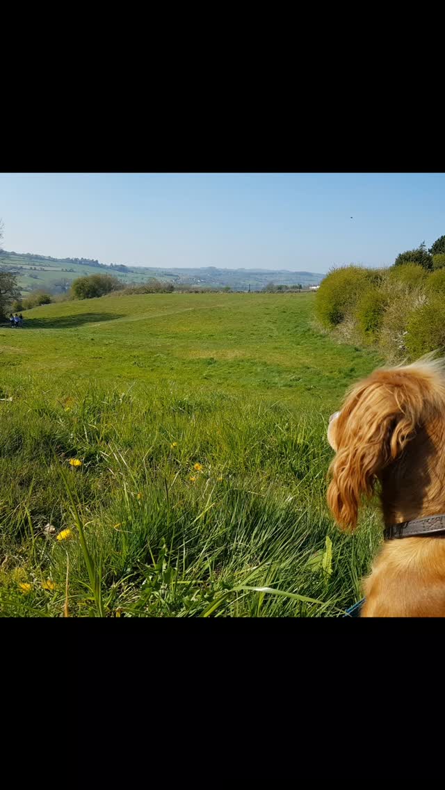A room with a view and we're all passing through.
None of us "own" it, not all of us honour it,
You can seek out the darkness and feel it's gloom, Or look for the beauty, and it will bloom.
I didnt even use AI for that!! Having another mindful moment .. and loving all the dandelions 😊😍😎
#sharedplanet #earthstewardship #mindfulmoment #derwentvalley #iamapoetandididntevenknowit #createyourreality #belper