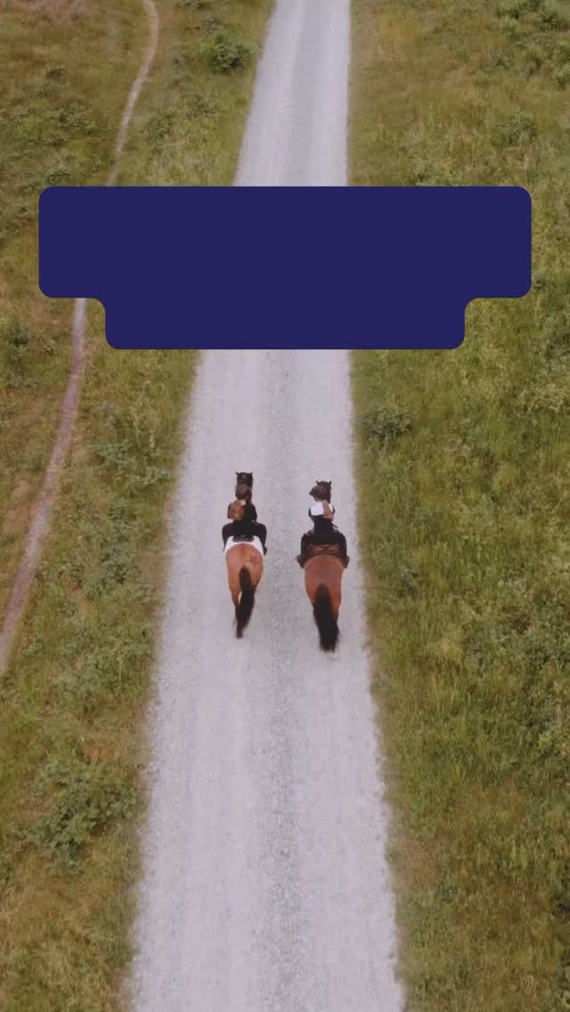 Here are 3 quick tips to take your posts from ordinary to extraordinary! ✨
1️⃣ Show the Horse AND the Human: Emotion drives engagement. Showing the relationship creates relatability and authenticity, making the content more shareable and memorable.
2️⃣ Use Natural Light: Visually striking content performs better on platforms like Instagram. Natural light elevates any photo or reel and keeps your aesthetic high-end and professional. 🌅
3️⃣ Add Motion: Movement naturally captures the eye and increases watch time. Instagram’s algorithm favors dynamic content that keeps people watching longer. 🎥
Ready to elevate your equestrian content game? 💥 Let Estride Media help you bring your vision to life with professional social media management. 📲
💬 DM us for personalized advice and start creating content that stands out!
#EquestrianContent #SocialMediaTips #EquineMarketing #HorseLife #EquestrianBusiness #ContentCreation #InstaReels #HorseRiders #EquestrianPhotography #EquineInfluencers #ContentStrategy #EstrideMedia #HorseLovers #BrandBuilding #EquestrianSocialMedia #SmallBusinessGrowth #EquestrianBranding #EquestrianStyle #ReelsTips