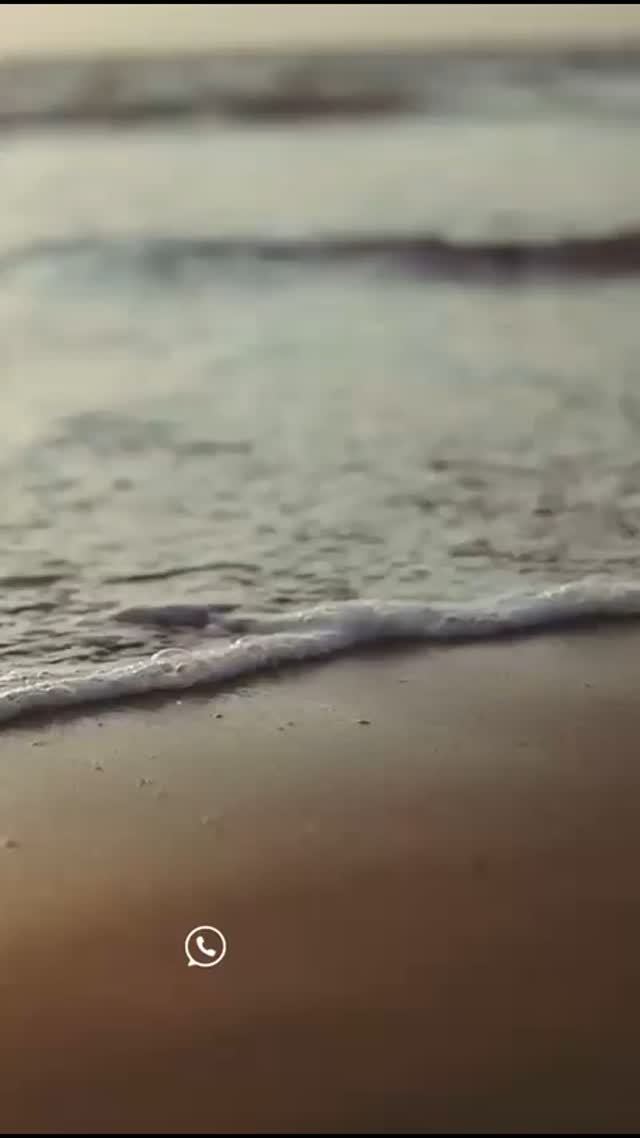 No te pierdas esta formación internacional!!!
50 horas en 10 días en Canal Om, el paraíso perdido!!