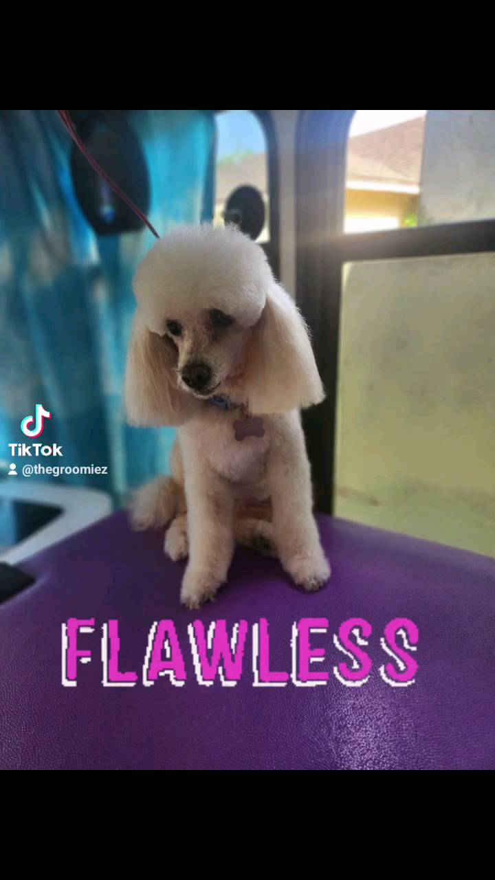 Holly looking beautiful 🥰