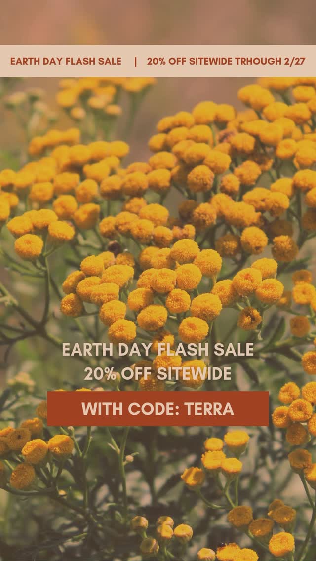 The Earth gives us everything. We honor her with every small batch.
At Wyld Terra, our name is a reflection of what we believe in—Wyld nature, rooted in terra, the Earth beneath us.
Each jar is handcrafted with intention, using pasture-raised tallow, wyld botanicals, and whole ingredients that support not just skin—but the whole self. This is holistic skincare, the way nature intended.
In celebration of Earth Day, enjoy 20% off sitewide now through April 27—a chance to restock your favorites or discover something new, all made in harmony with the land.
Nourish your skin. Honor the Earth. Stay wyld.
Shop Now
#WyldTerra #EarthDaySale #HolisticSkincare #SlowBeauty #TallowSkincare #WyldcraftedBeauty #RegenerativeSkincare #EarthFirstBeauty #RootedInNature #CleanBeautyRituals #NourishNaturally #SlowLivingSkincare #WyldAndWell
Let me know if you’d like a story version, reel hook line, or voiceover script to go with this!