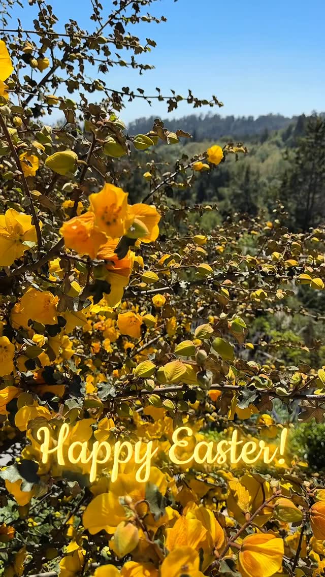 Happy Easter!