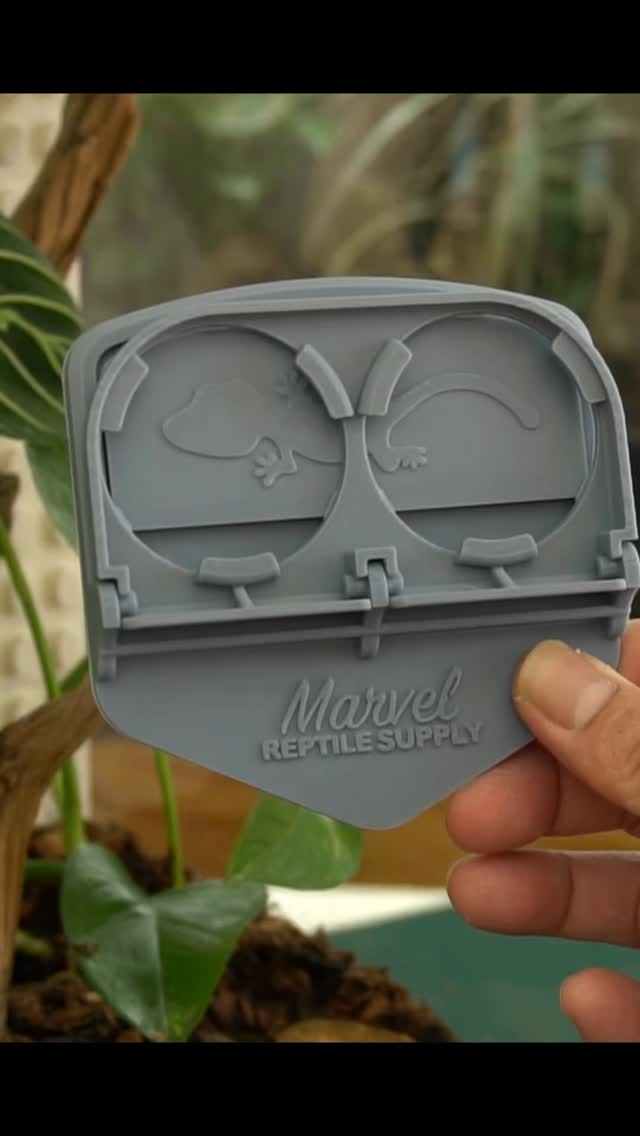 At Marvel Morphs & Reptile Supply, we’re #geckolovers & collectors first, #geckobreeder 2nd, and designers of the best #3dprint gecko products in the community. And this is our new magnetic feeding ledge, held up securely by 4 super powerful neodymium magnets. This feeding ledge will not fall off. And when your gecko is naughty and makes a mess, you can remove the ledge without removing the magnets for easy cleaning. It comes in a variety of colors and more on the way.
Visit our website marvelmorphs.com/repsupply and see all our products for your gecko’s home. Visit often because more products are on the way!
25% off magnetic feeding ledges in May using this coupon: IGMagMay25
#geckosofinstagram #reptileofinstagram #marvelmorphs #crestedgecko #bioactive #crestedgeckodiet