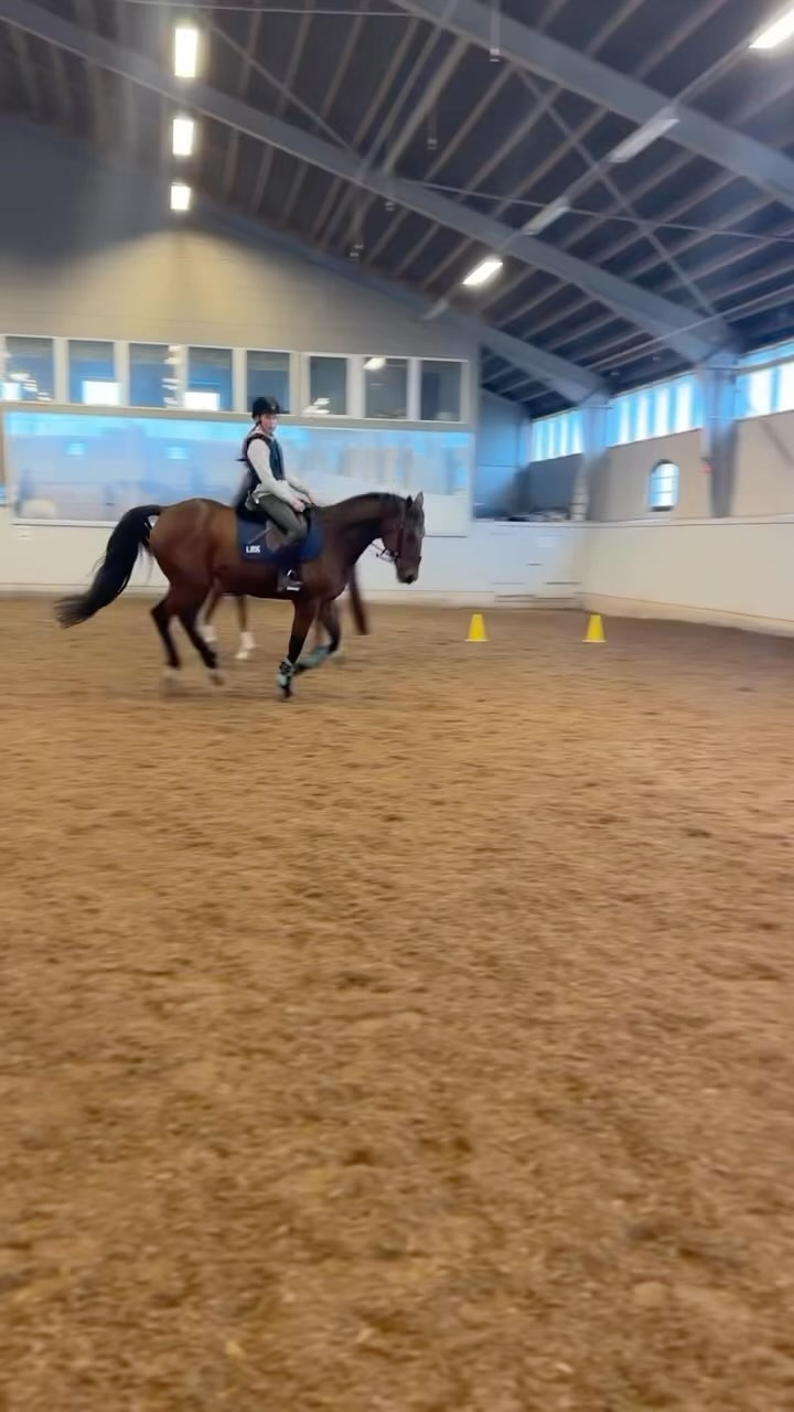 Idag övade våra elever på precision under uppsikt av @landskronaridklubb 🐴 #landskrona