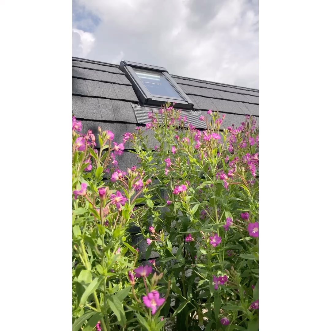 Hot tub at Sycamore pod 🌸🛖
#garthsidefarmholidays #glamping #camping #hadrianswall #hadrianstrail #wildlife #wildlifephotography #cumbria #carlisle #brampton #rewilding#staycation #birdphotography #holiday #garthside #glampingpods #glampingcumbria #farmglamping