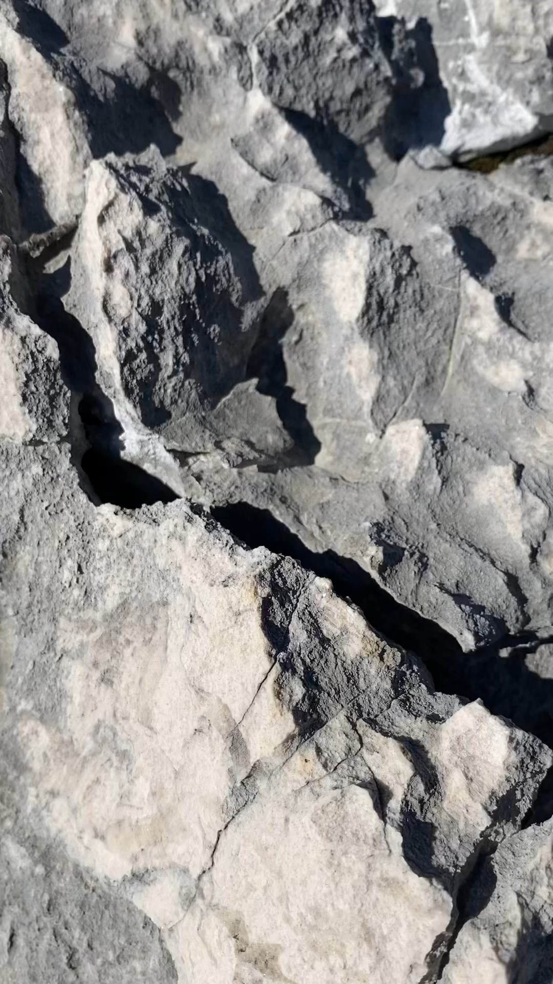 “All I ever wanted
All I ever needed
Is here in my arms.”
No words needed.
Enjoy nature! 💚
#foradventure #croatiafulloflife #croatiafullofnature #croatiafullofadventures #visitistria #visitrakalj #istratrails