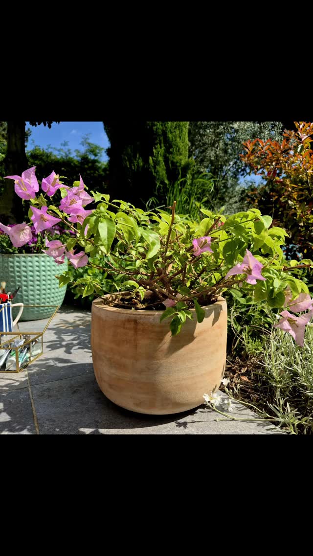 Le soleil sur ce pot m’a donné envie de capturer l’instant.
L’ombre, la lumière… vite, 10 minutes chrono avant qu’il ne disparaisse.
Aquarelle en urgence 😄🔥 inspiration en plein soleil.
.
.
.
.
.
.
.
.
.
.
.
.
#aquarelle #watercolor
#peinturepleinair #pleinairpainting
#carnetdecréation #sketchbook
#lumiereetombre #lightandshadow
#inspirationdujour #dailyinspiration
#capturerlinstant #capturethemoment
#momentcreatif #creativeprocess
#10minuteschallenge #quicksketch
#artistesoninstagram #artinprogress