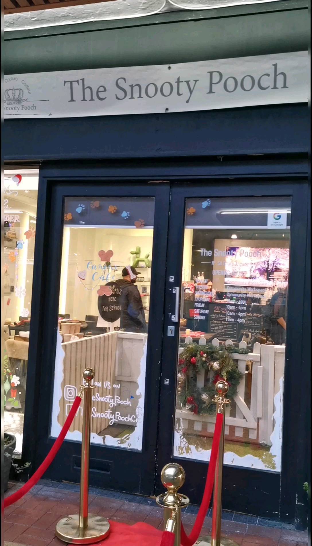 My colour pencil portraits in snooty pooch in Solihull. Check it out the shop is beautiful and the staff are so helpful. They are charity based. 😁#colourpencil #artist#gallery
#doglovers#dogsoflondon